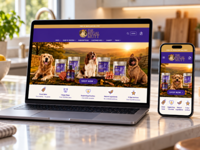 Ecommerce website design South Wales