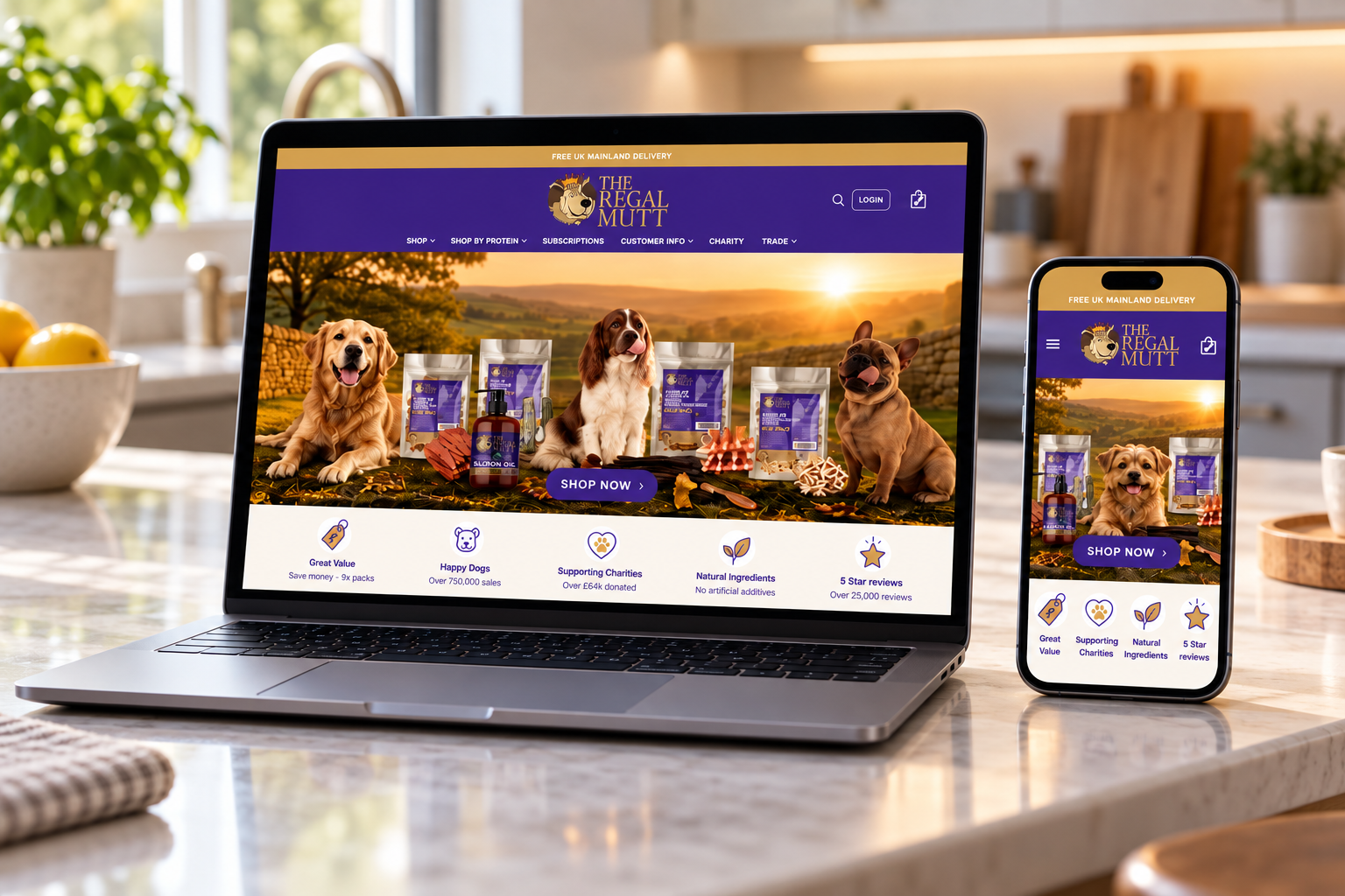 Ecommerce website design South Wales