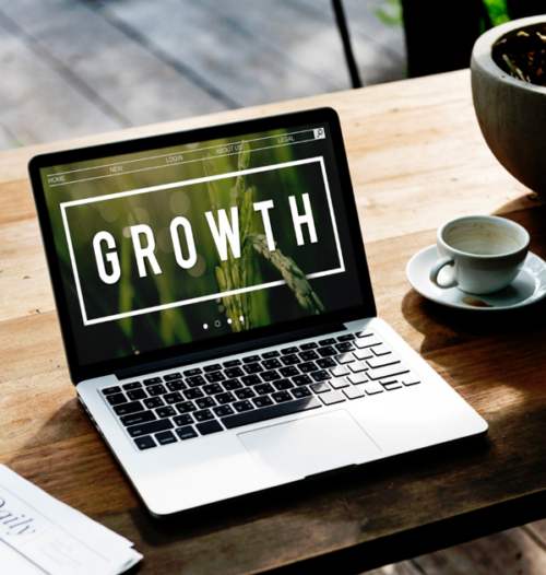 Ecommerce website design - growth Ecommerce website design - growth