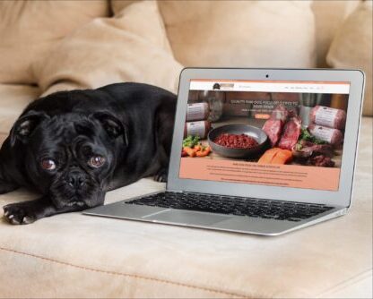 online shop web design Barry