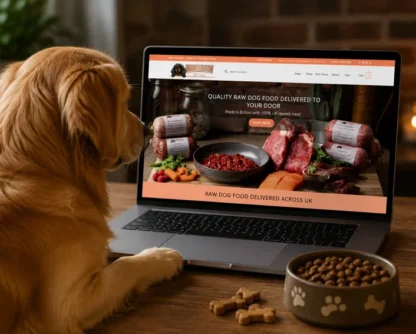 ecommerce website South Wales