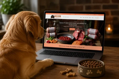 ecommerce website South Wales