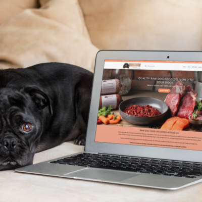 Ecommerce web design Cardiff